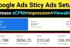 Place Google Adx Sticky Ads On Wordpress Website