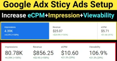 Place Google Adx Sticky Ads On Wordpress Website