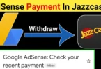 How To Link Payoneer In Google Adsense